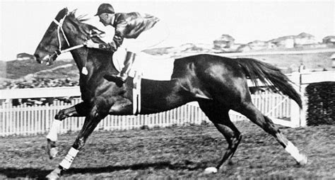 10 Interesting Facts About Phar Lap (Owner, Jockey, History & FA.